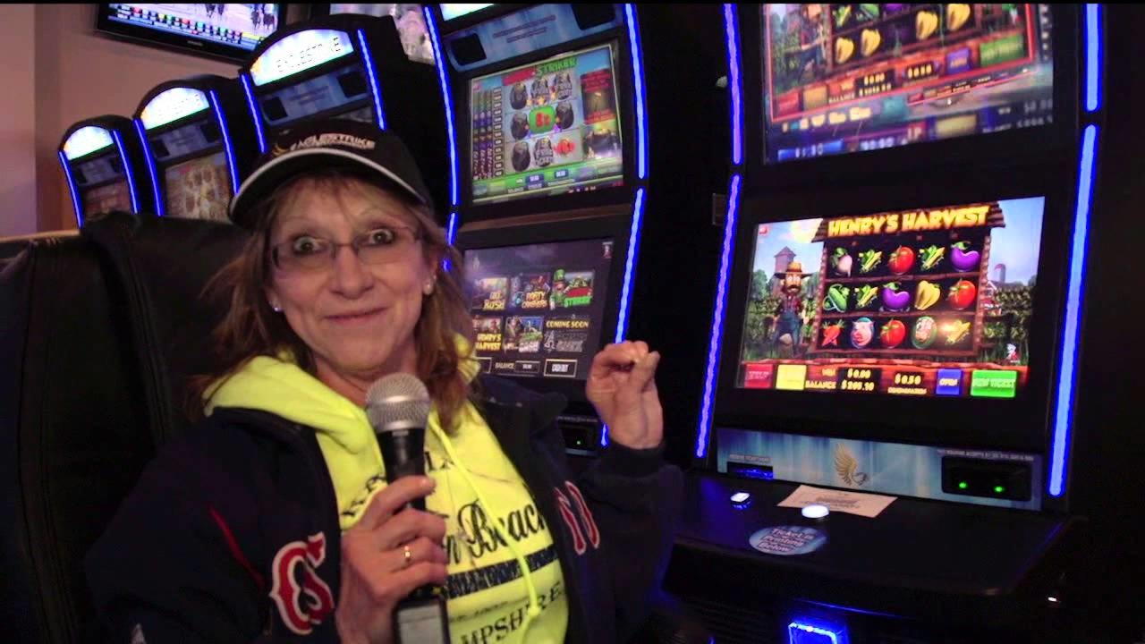 245 Freispiele im Mrgreen Casino